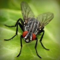 /album/moutisahea/photolia-a01-jpg/