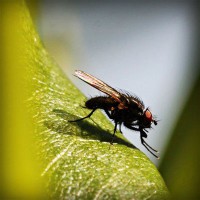 /album/moutisahea/photolia-a04-jpg/