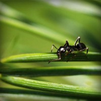 /album/moutisahea/photolia-a05-jpg/