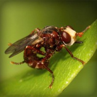 /album/moutisahea/photolia-a06-jpg/