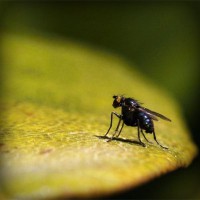 /album/moutisahea/photolia-a07-jpg/